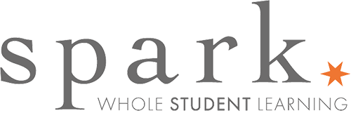 Spark Logo