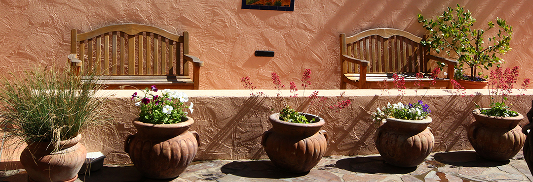Image of potted plants in the court yard
